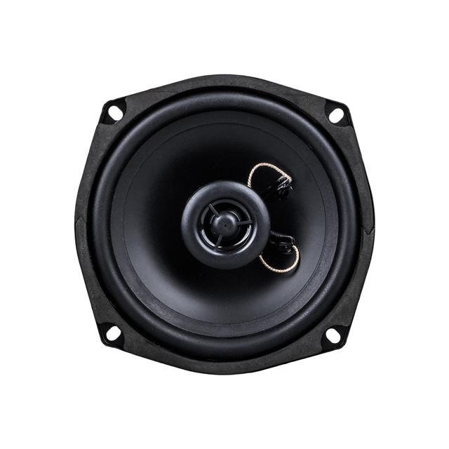 Westsound TH-06-CXT TS-5250 5’’ 13 CM Çıplak Hoparlör