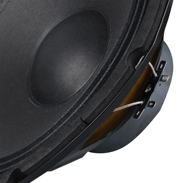 NO-TEL LS1001 250 Watt 10’’ 25 CM 8 Ohm Çıplak Oto MID-BASS Hoparlör